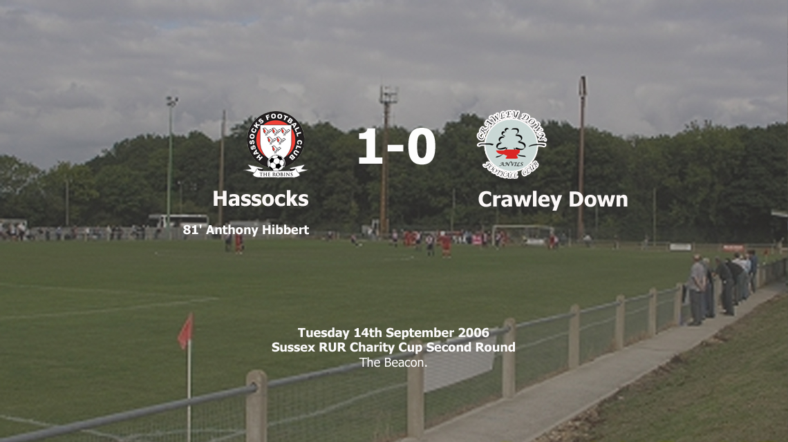 A late goal from Hassocks secured their safe passage into the third round of the RUR Charity Cup with a 1-0 win over Crawley Down