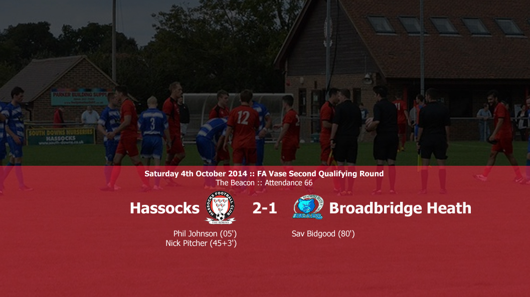 Report: Hassocks 2-1 Broadbridge Heath, 04/10/14