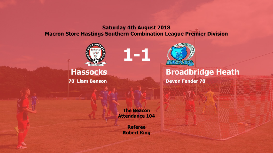 Report: Hassocks 1-1 Broadbridge Heath, 04/08/18
