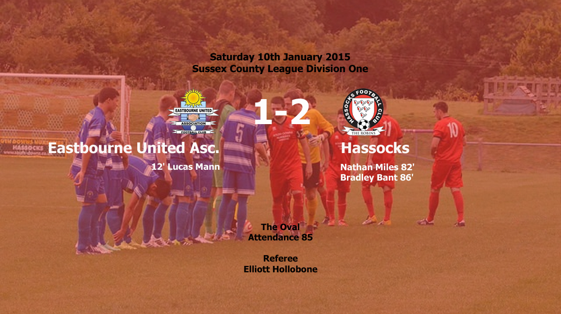Report: Eastbourne United Association 1-2 Hassocks, 15/01/15