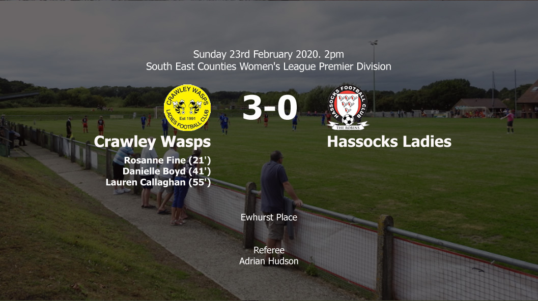 Report: Crawley Wasps 3-0 Hassocks Ladies, 23/02/20