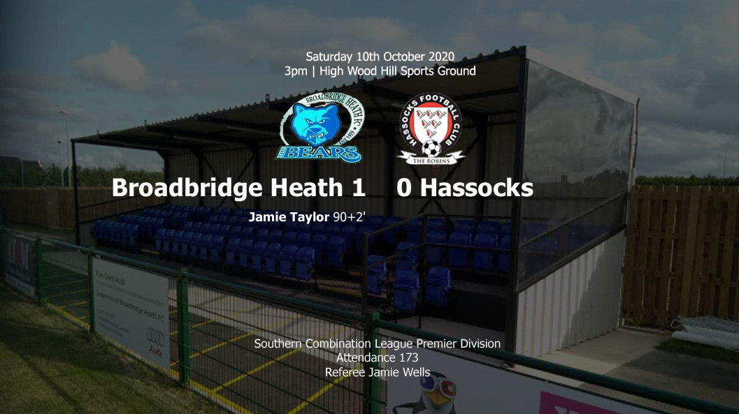 Report: Broadbridge Heath 1-0 Hassocks, 10/10/20