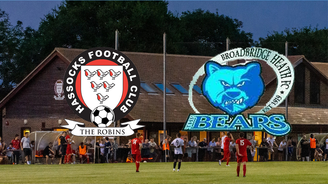 Preview: Hassocks v Broadbridge Heath, 08/12/20