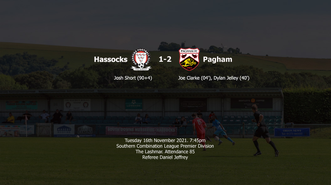 Report: Hassocks 1-2 Pagham