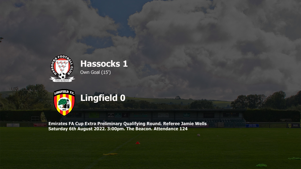 Report: Hassocks 1-0 Lingfield