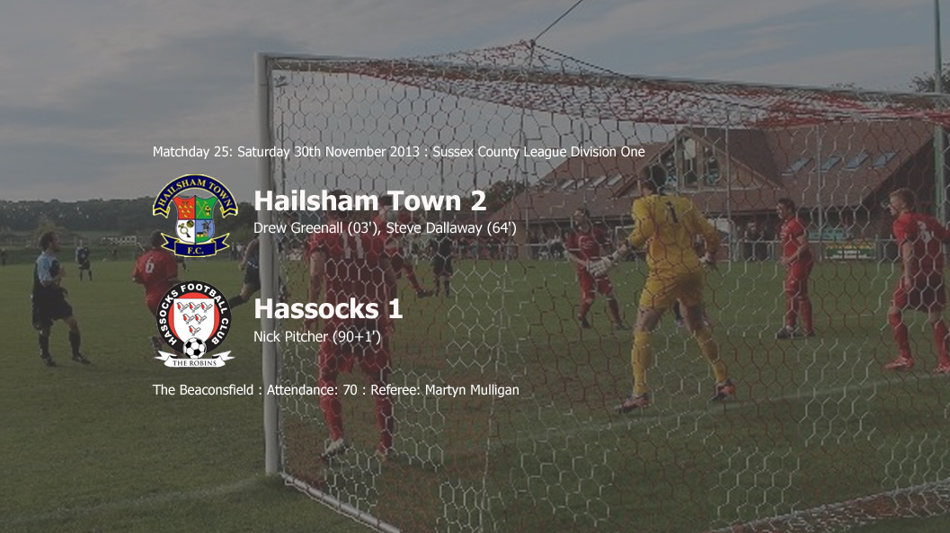 Report: Hailsham Town 2-1 Hassocks, 30/11/13
