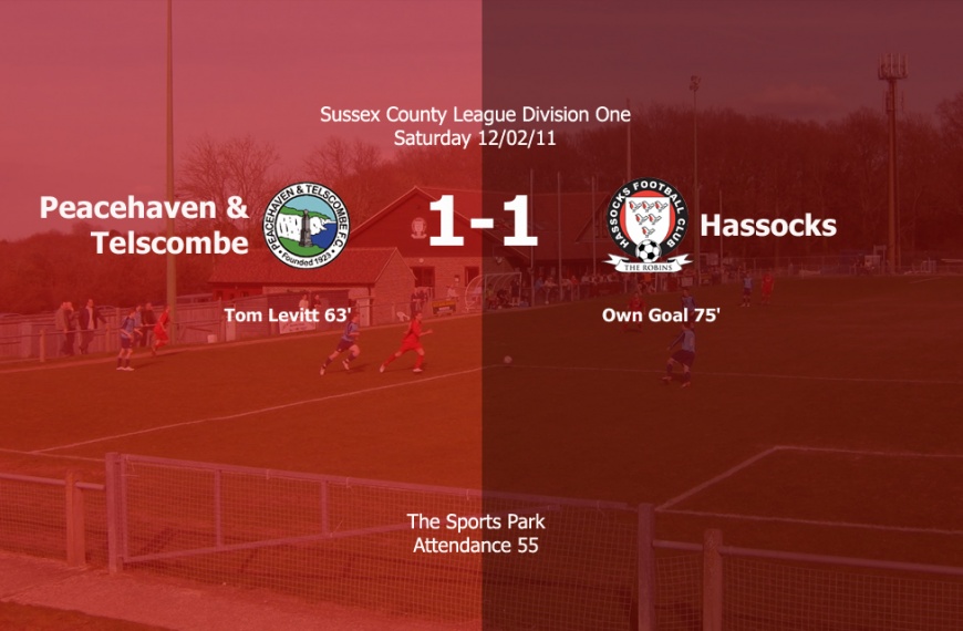 Hassocks secured a deserved point from a 1-1 draw in a tough looking assignment away against Peacehaven & Telscombe