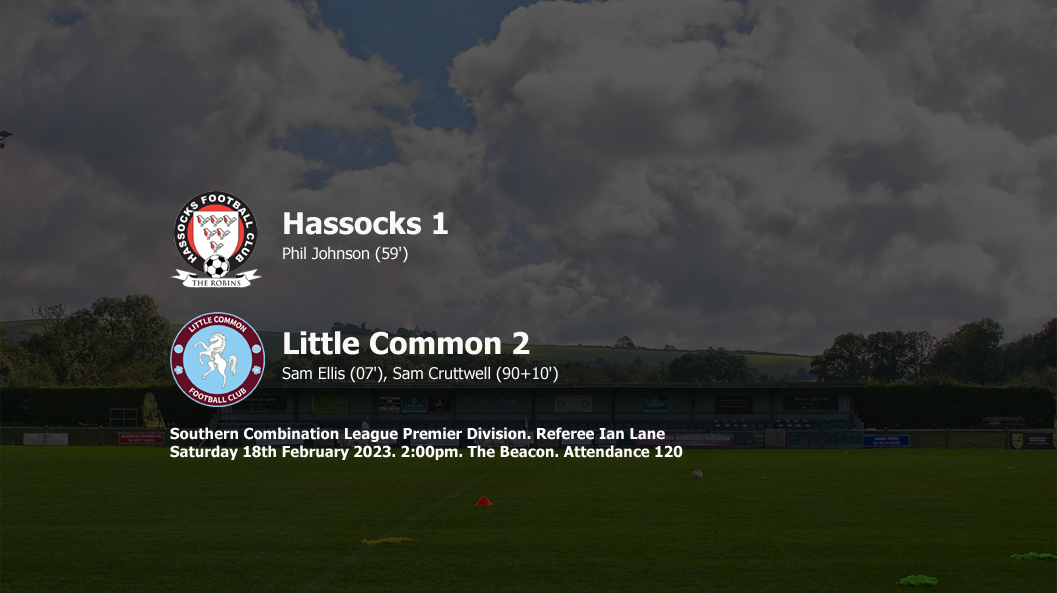 Report: Hassocks 1-2 Little Common