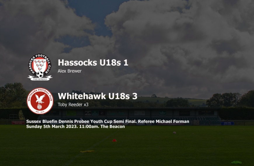 Hassocks Under 18s exited the Sussex Bluefin Dennis Probee Youth Cup in a 3-1 semi final defeat to Whitehawk