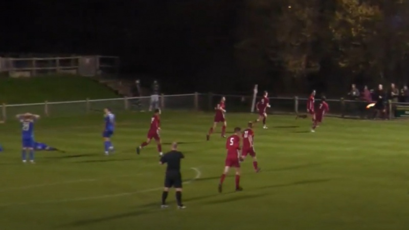 Highlights: Hassocks 2-0 Peacehaven & Telscombe