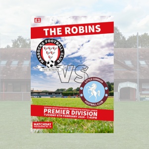 Download your Hassocks v Little Common programme