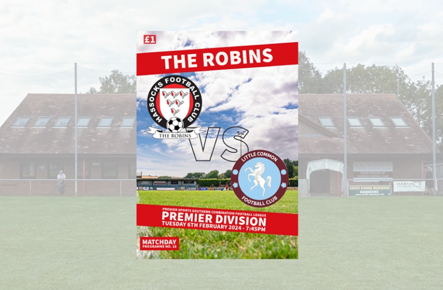 Download your Hassocks v Little Common programme