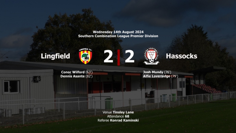 Report: Lingfield 2-2 Hassocks