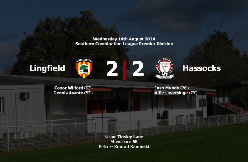 Lingfield and Hassocks played out an entertaining 2-2 draw at Tinsley Lane