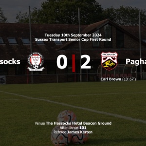 Report: Hassocks 0-2 Pagham