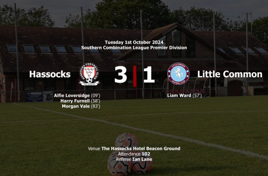 Hassocks went back to the top of the Premier Division by beating Little Common 3-1